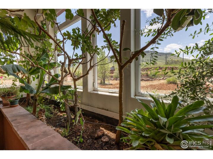 Property Photo:  108 Lonestar Rd  CO 80540 