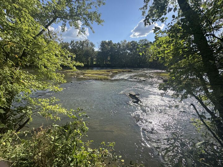 Property Photo:  1615 River Road  KY 40769 