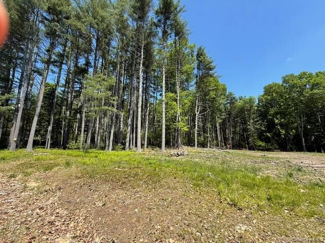 Property Photo:  Lot 48.3 &Amp 48.2 High Road  NY 12737 