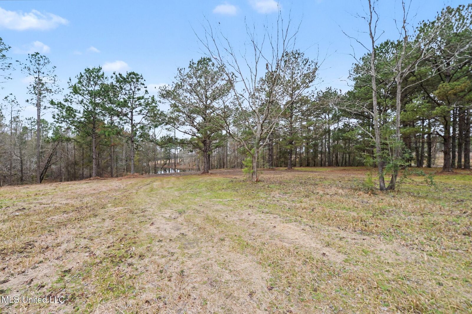 Property Photo:  20+/-Ac Summerour Road  MS 39452 