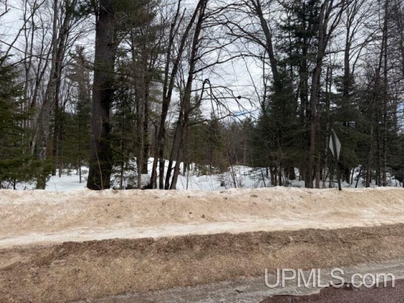 Property Photo:  Tbd North Lake Drive  MI 49849 