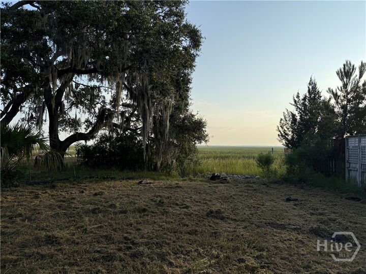 Property Photo: 212 Fish Hawk Lane GA 31410