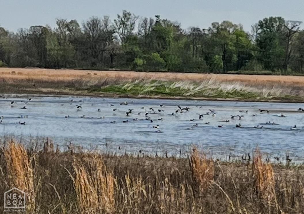 Property Photo:  1962 Upper Lockhart Rd.  AR 72524 