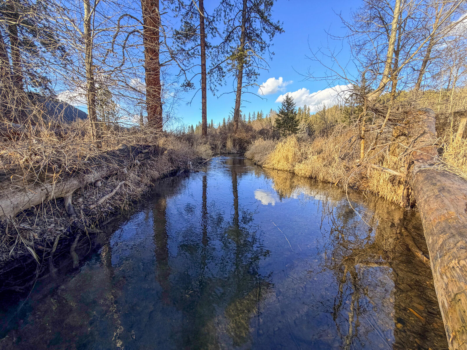 Property Photo:  32X Aladdin Rd  WA 99114 