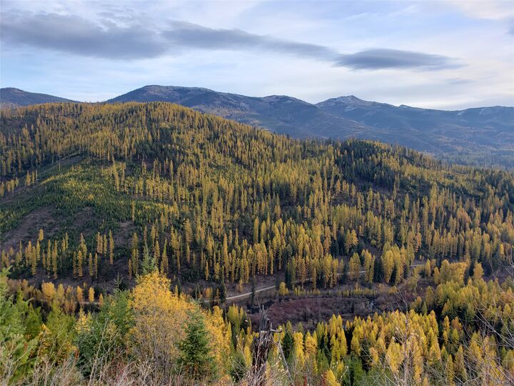 Property Photo:  Tbd Nine Mile Road  MT 59846 