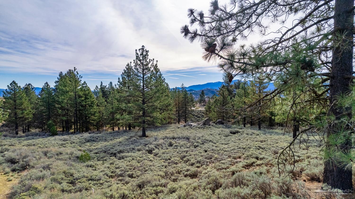 Property Photo:  25540 High Rock Court  CA 93561 