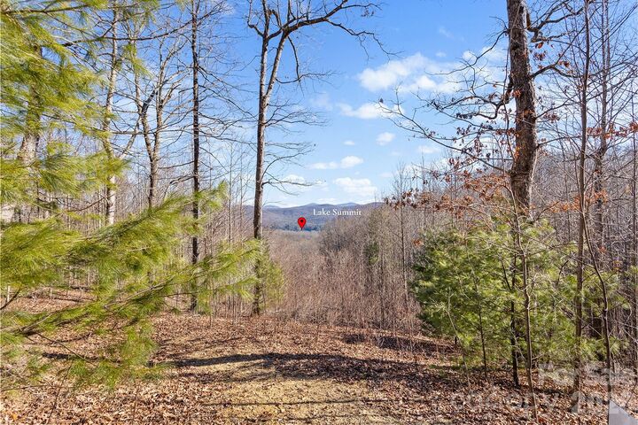 Property Photo:  0000 Pinnacle Mountain Road Lots 1,2,3,4  NC 28790 