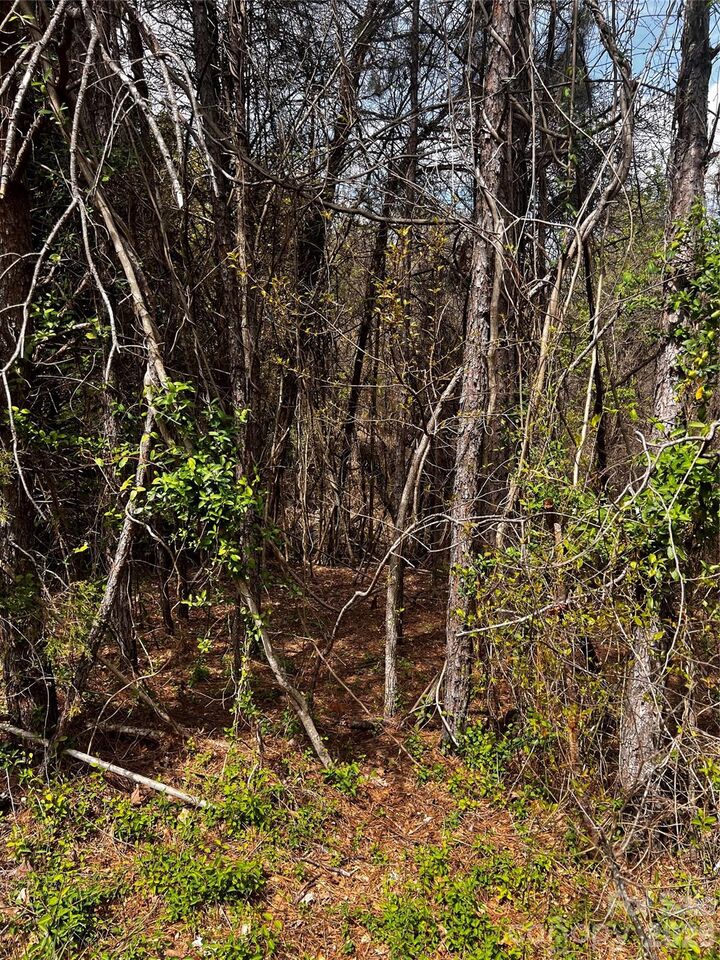 Property Photo:  0000 Cemetery Loop  NC 28601 