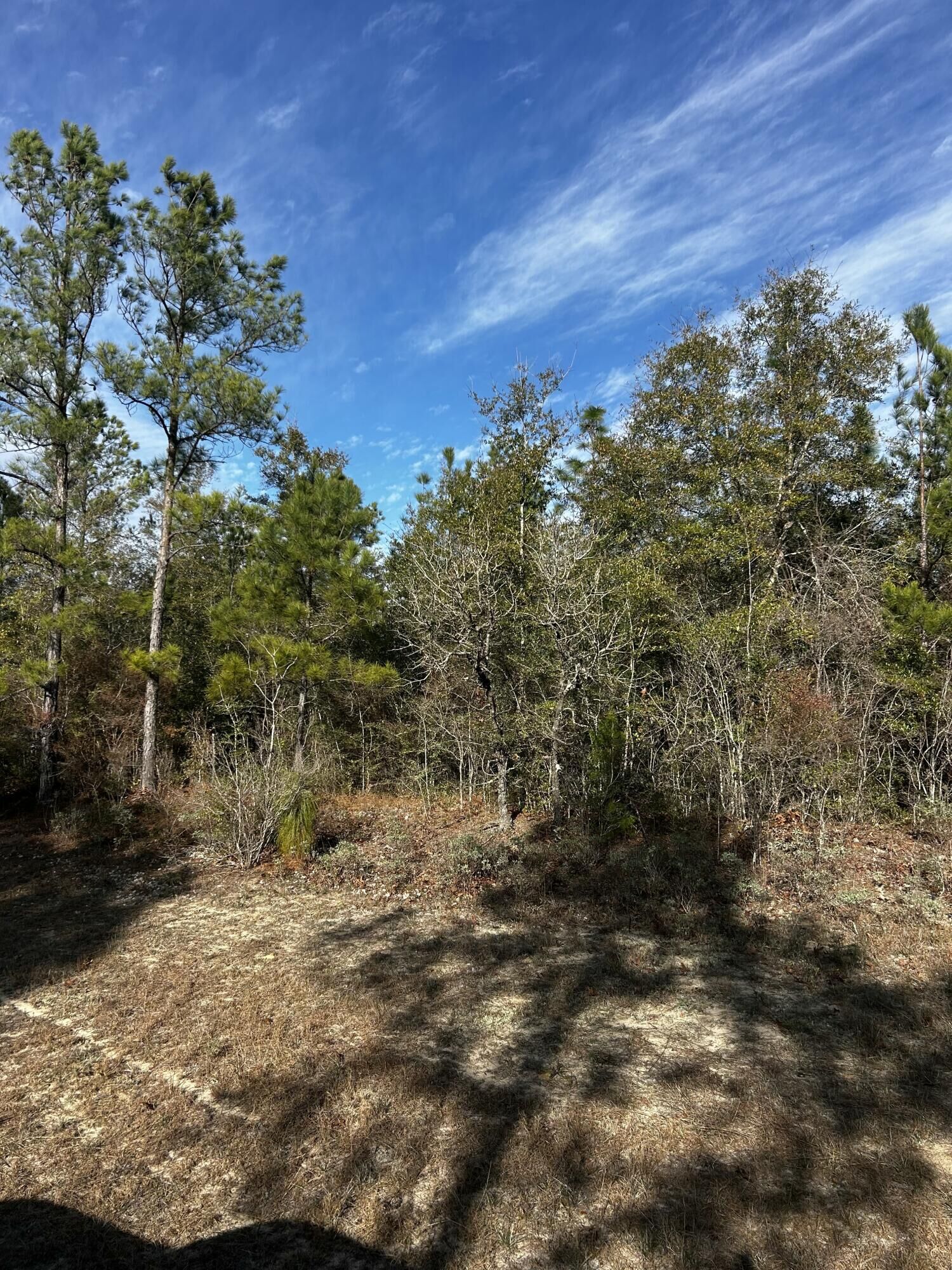 Property Photo:  Tbd Valiant Drive  FL 32428 