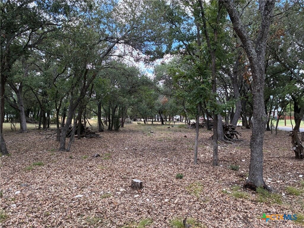 Property Photo:  2220 Tye Valley Road  TX 76548 