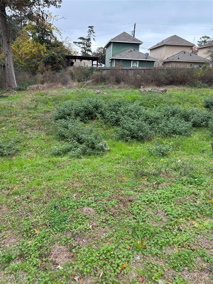 Property Photo:  16716 E Ivanhoe  TX 77316 