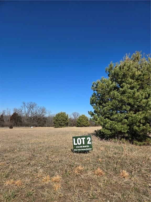 Property Photo: 1704 NE Bluff Street MO 64086