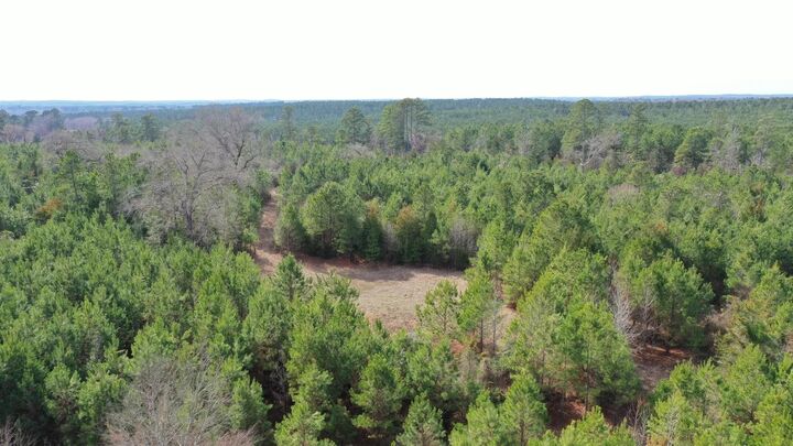 Property Photo:  0000 Cr 1782  TX 75563 