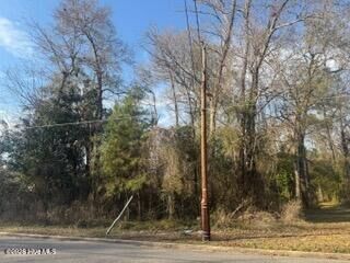 Property Photo:  002224 E Near 217 E Clay Street  NC 28472 