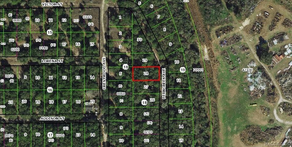 Property Photo:  919 Ferncreek Avenue  FL 34453 