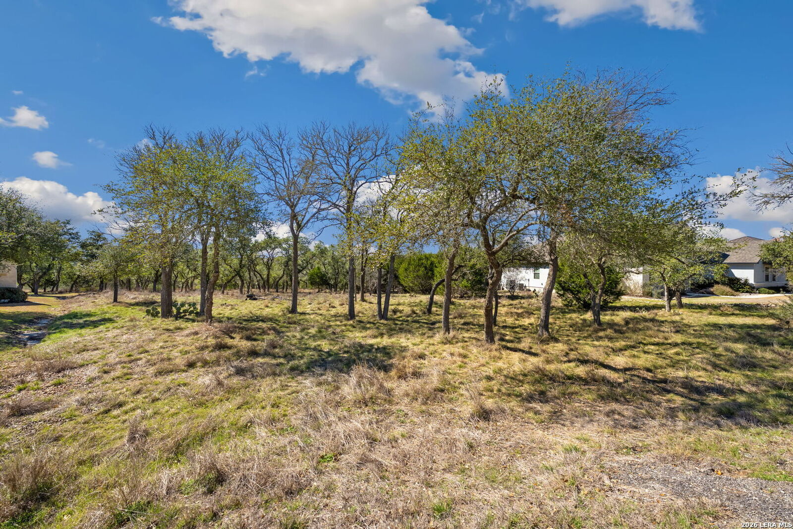 Property Photo:  913 Cross Oak  TX 78132 
