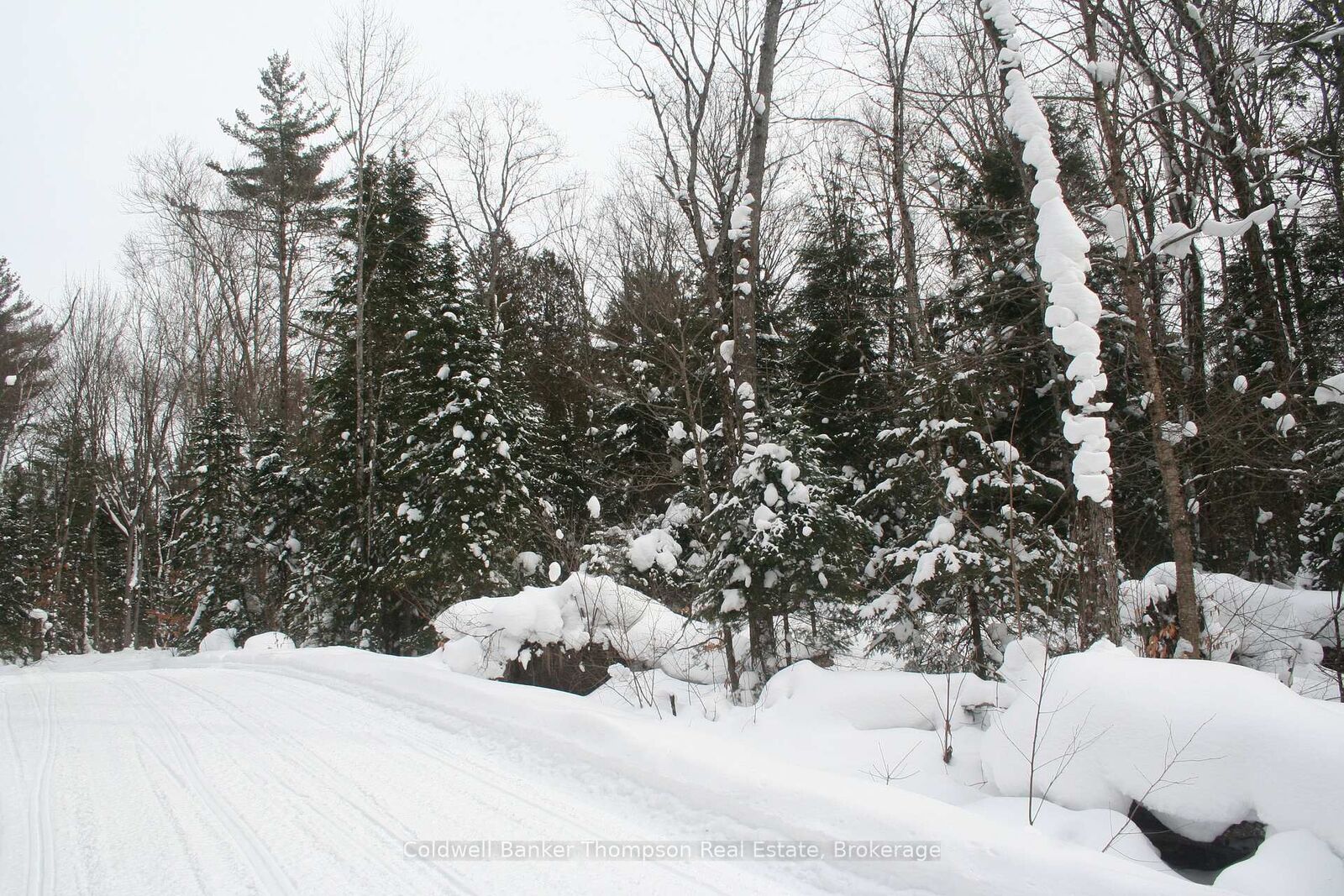 Property Photo:  0 Pt Lt 29 Con 10 N/A  ON P1H 2J3 