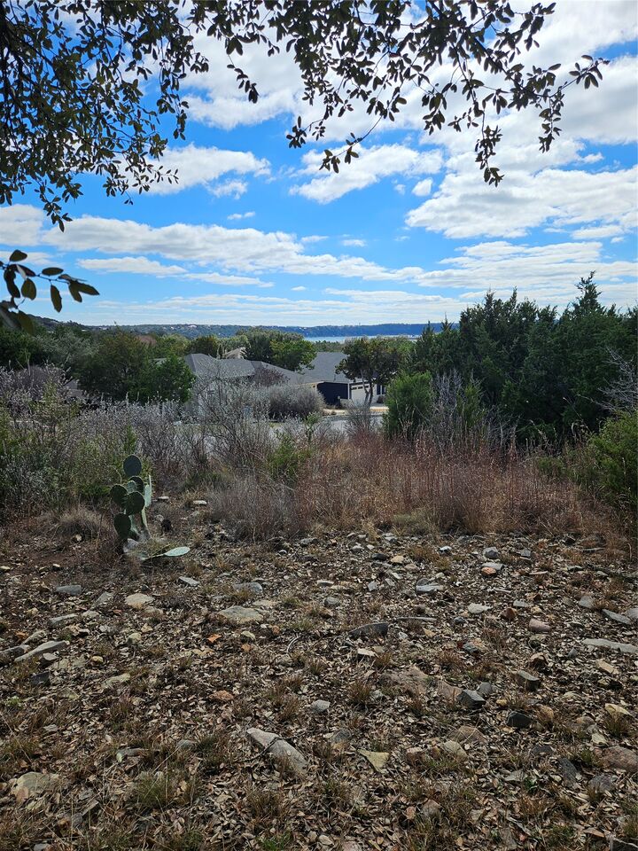 Property Photo:  2912 Davis Cove  TX 78645 