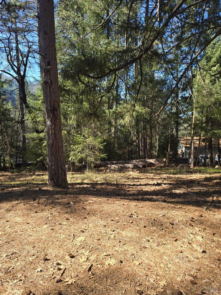 Property Photo: 16303 Niblick Road CA 95426