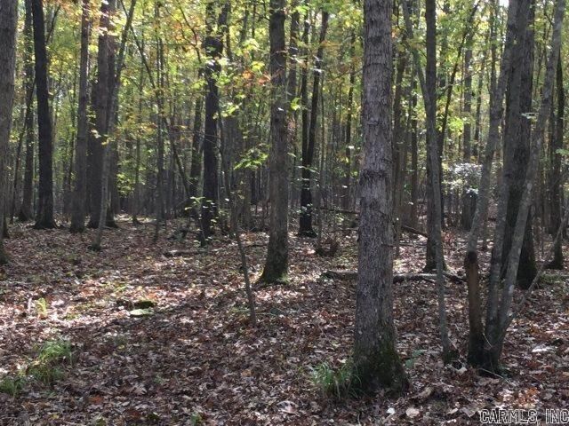 Property Photo: Unk Polk Road 293 AR 71953