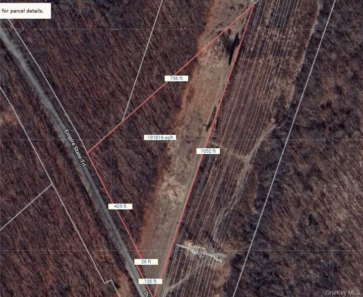 Property Photo:  Lot 337829 Rt-376  NY 12590 