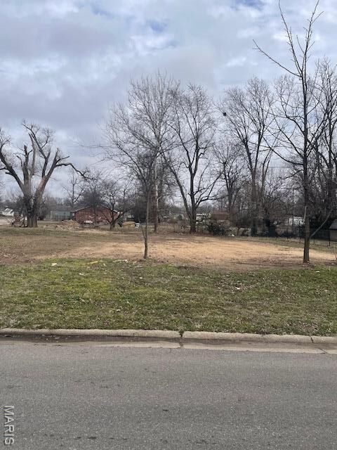 Property Photo: 315 Jackson Street MO 63801