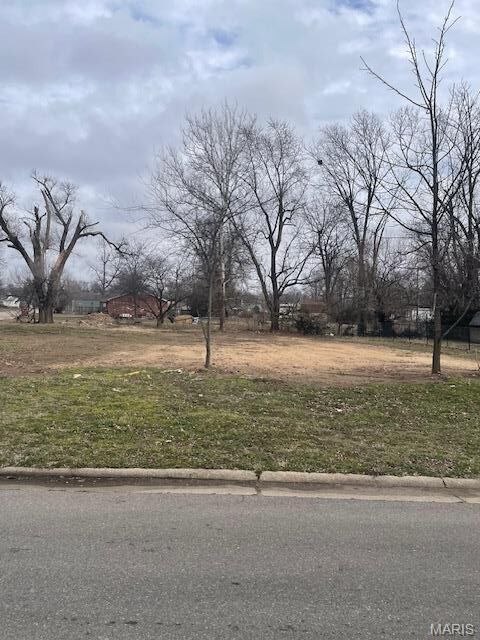 Property Photo:  315 Jackson Street  MO 63801 