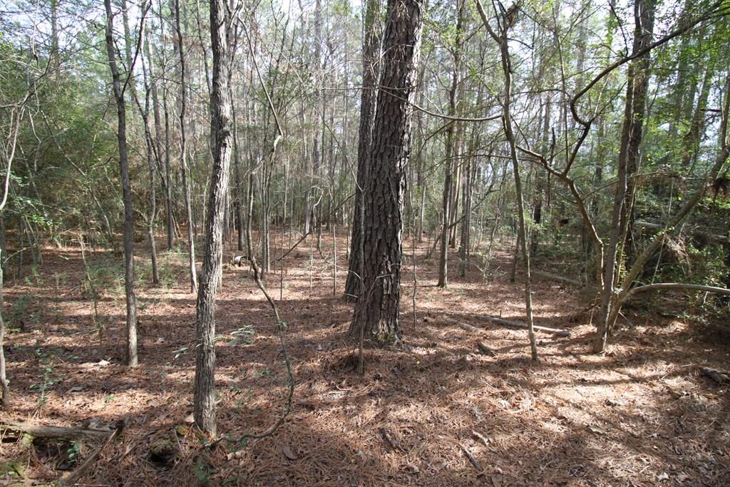 Property Photo:  R 122777 Jape Massingill Lane  TX 75941 