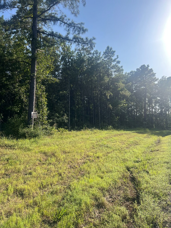 Property Photo:  Lot #36 Eagles Nest  TX 75929 