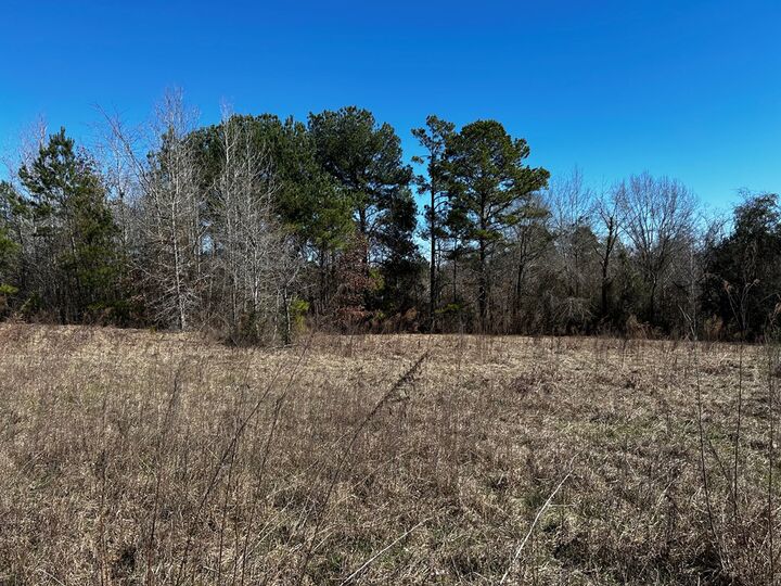 Property Photo:  R14353 Cr 167  TX 75669 