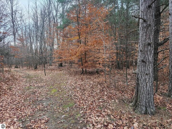 Property Photo:  Vl 9 Mile Road  MI 49645 