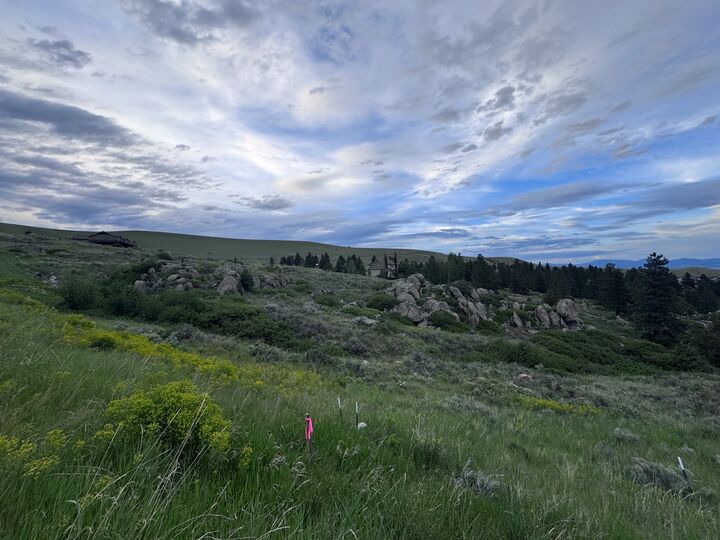 Property Photo:  4993 Smallwood Court  MT 59601 