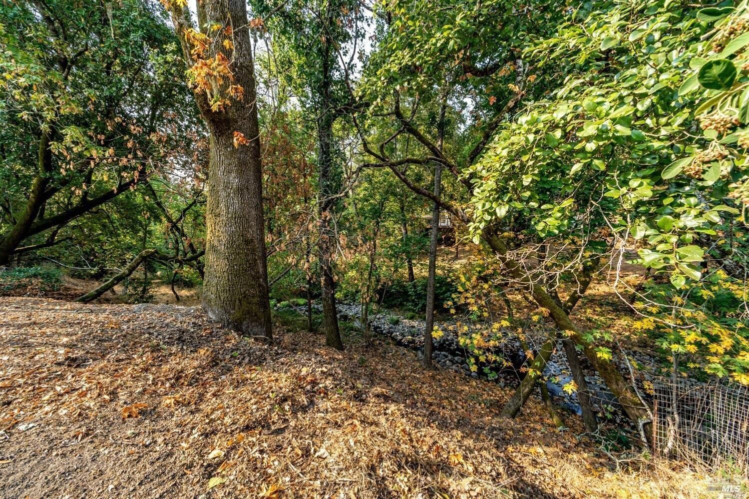 Property Photo:  1513 Warm Springs Road  CA 95442 