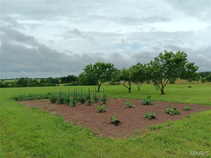 Property Photo:  6991 Ely Road  MO 65667 