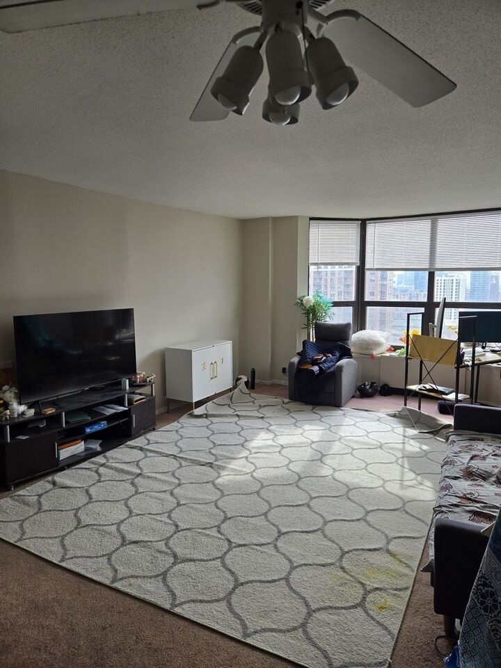 Property Photo: 899 S Plymouth Court 1907 IL 60605