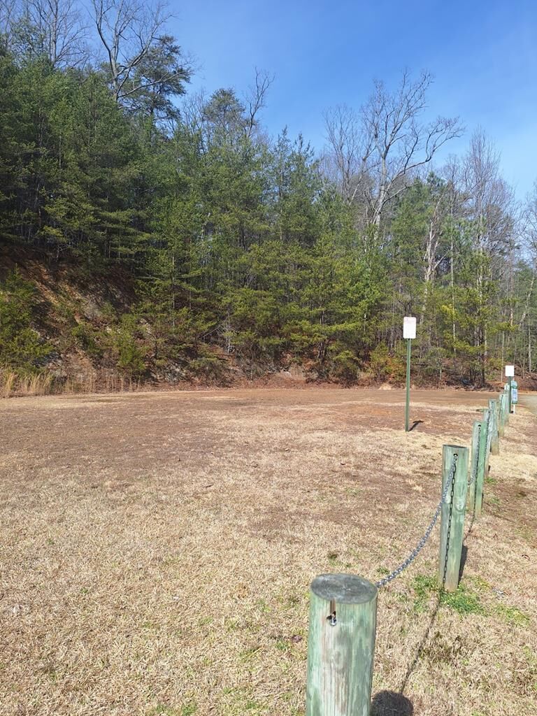 Property Photo:  Lot 123 Ridgehaven  GA 30540 