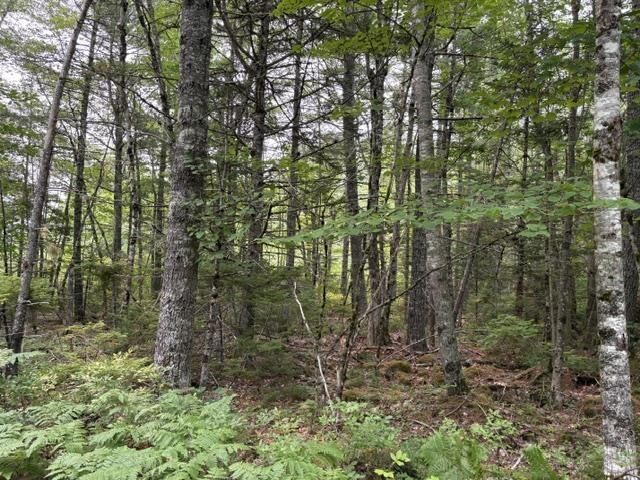 Lot 1-A Country Road Lakeland Retreats — photo 1
