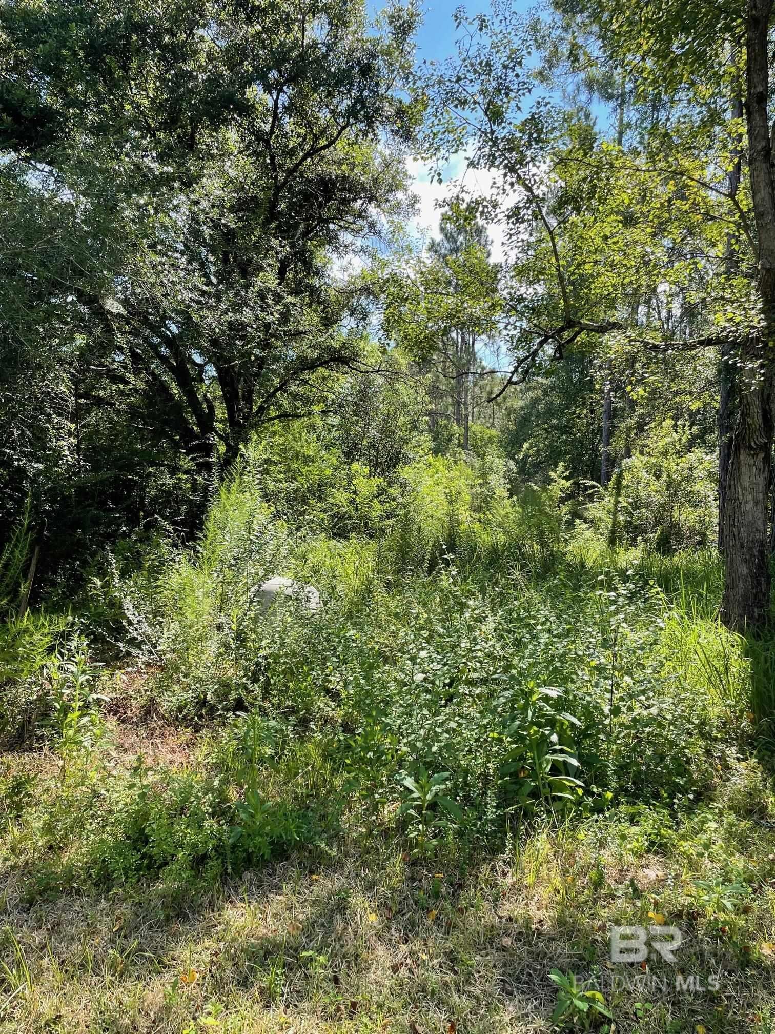 Property Photo:  20150 County Road 87  AL 36567 