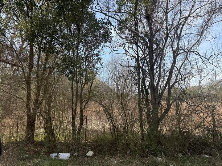 Property Photo:  0 Magnolia Road  AL 36544 