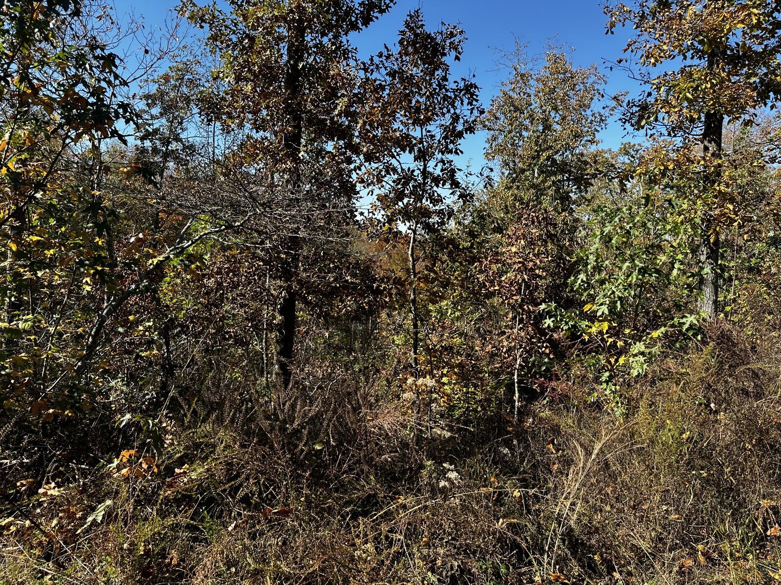 Property Photo:  0 Ridge Top Rd  TN 37175 