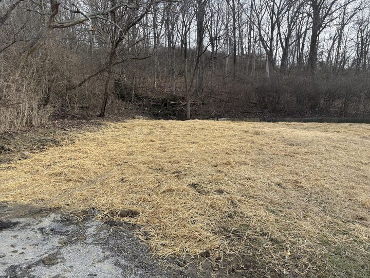 Property Photo:  59 Ohio Avenue  KY 41071 