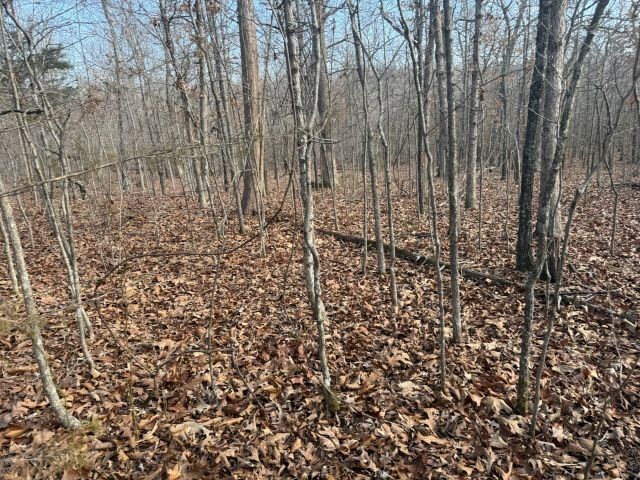 Property Photo:  Tract 2 Mc 8003  AR 72687 