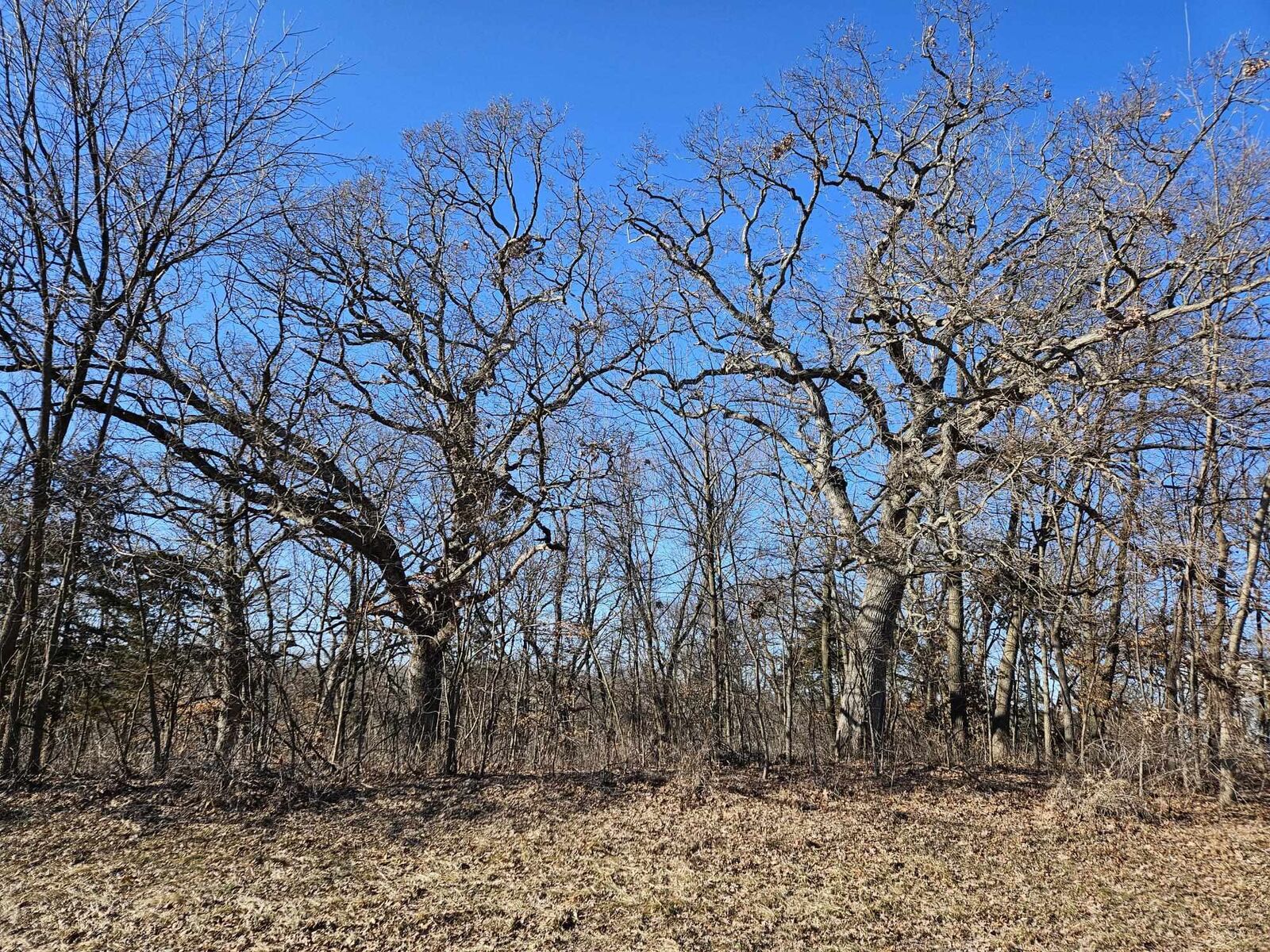 Property Photo:  4722 W Longhollow Road  IL 61036 