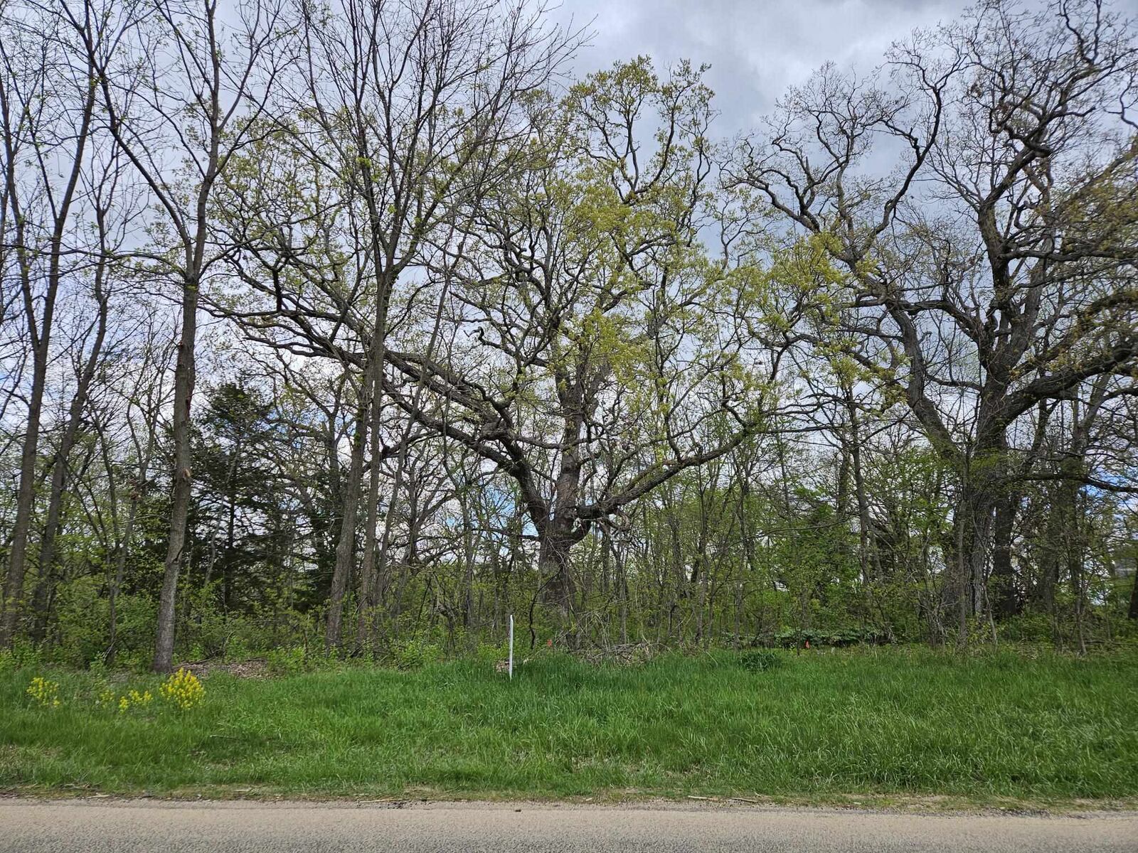 Property Photo: 4722 W Longhollow Road IL 61036