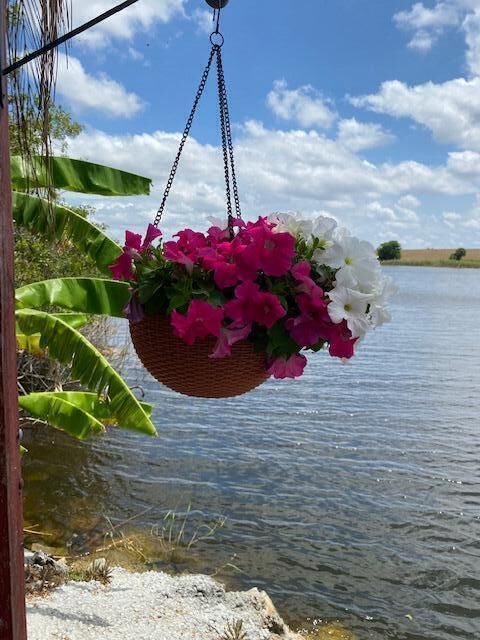 Property Photo:  8680 US Highway 441  FL 34974 