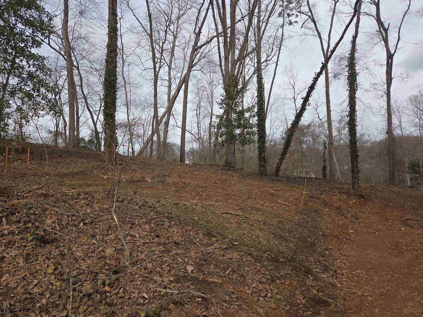 Property Photo:  00 Barnwell Road ***  SC 29303 