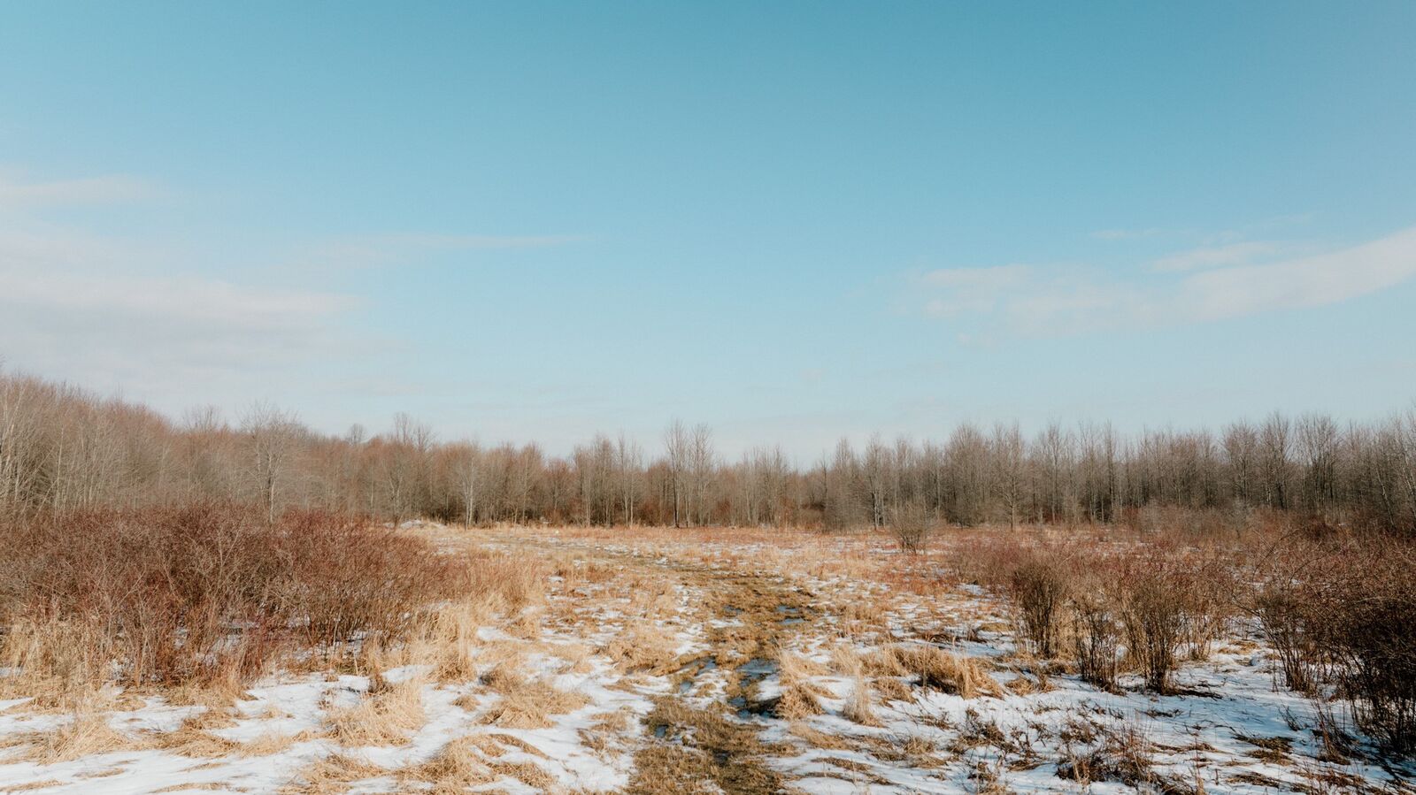 Property Photo:  9380 Babbitt Road  PA 16410 