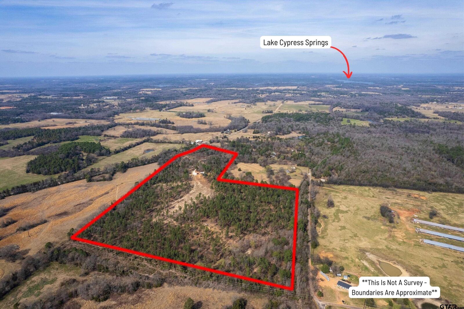 Property Photo: 130 SE County Road 4415 TX 75480