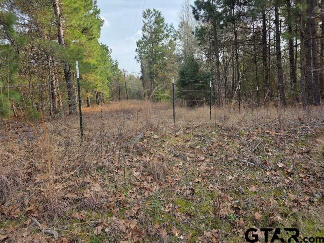 Property Photo:  Tbd 7.85 Ac Cr 3206  TX 75667 