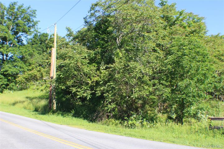Property Photo:  Lot 2 South Centerville Road  NY 10940 